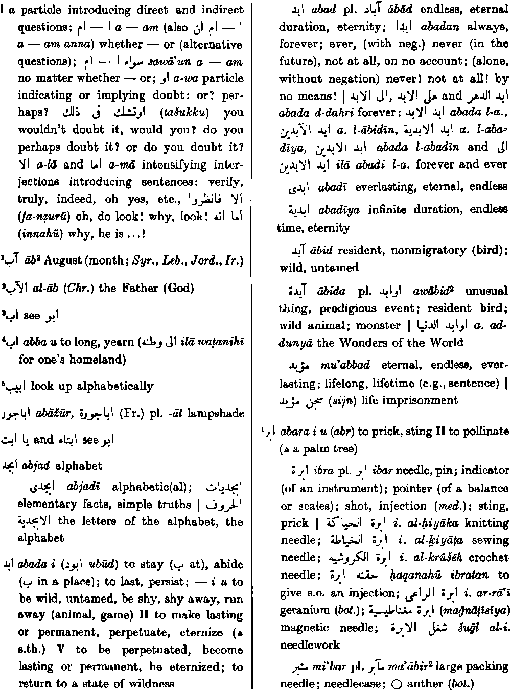 hans wehr arabic dictionary pdf